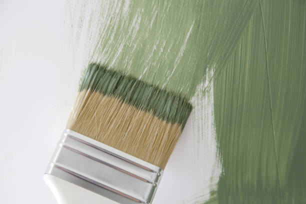  Rose Valley, PA Mold Removal Pros