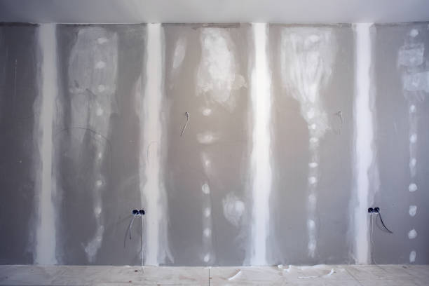 Professional Mold Removal in Rose Valley, PA